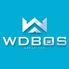 Ikon wdbos